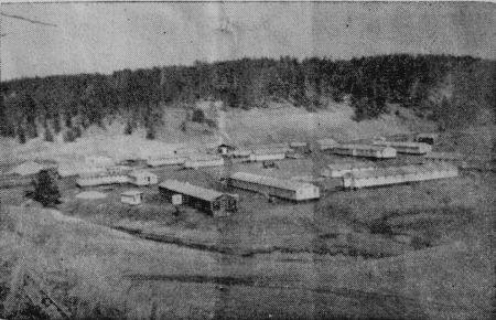 BR-99-Deerfield