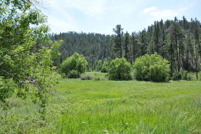 Jewel Cave side camp Hell Canyon Jewel Cave side camp Hell Canyon