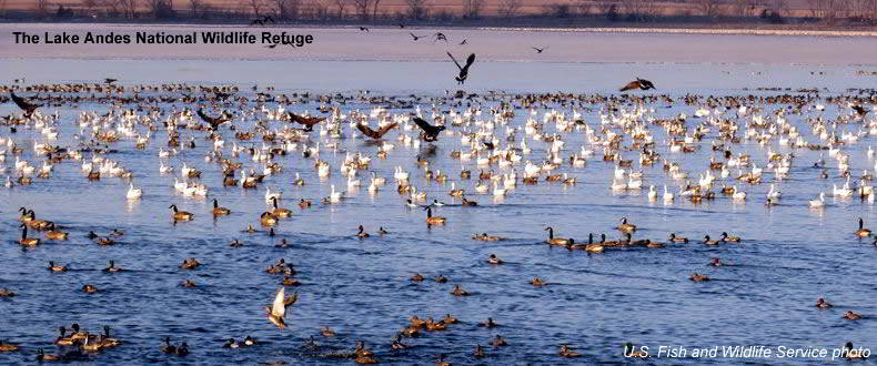 Lake Andes National Wildlife Refuge