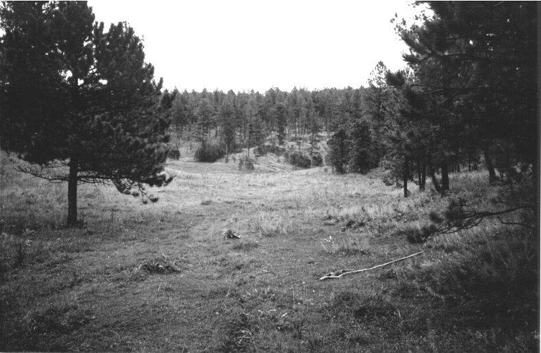 Rochford Camp Site Rochford Camp Site