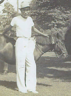 Walking Bull