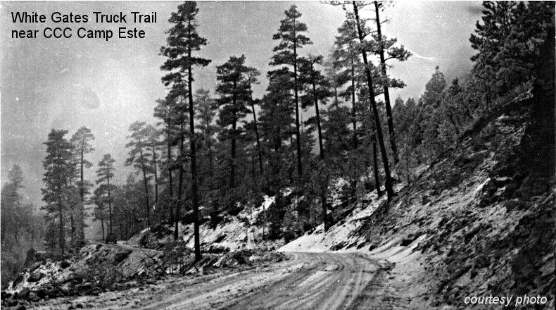 Truck Trail near CCC Camp Este Truck Trail near CCC Camp Este