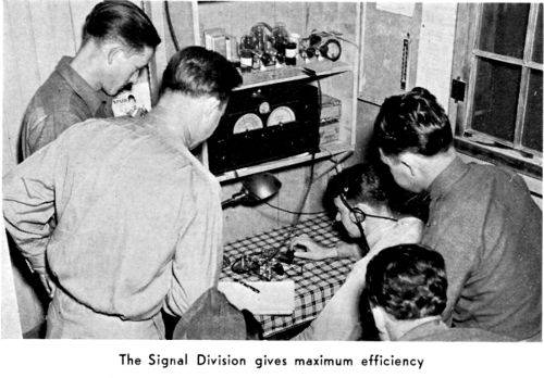 Signal Division Signal Division
