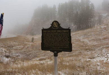 DAR Penny Pines Historical Marker DAR Penny Pines Historical Marker