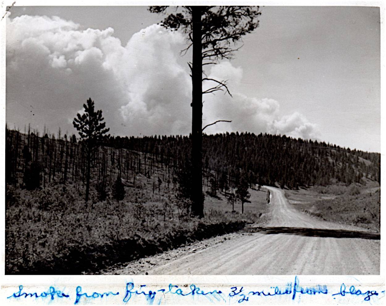 Photo from Albert Rose - Camp Roubaix - courtesy Angela Harper