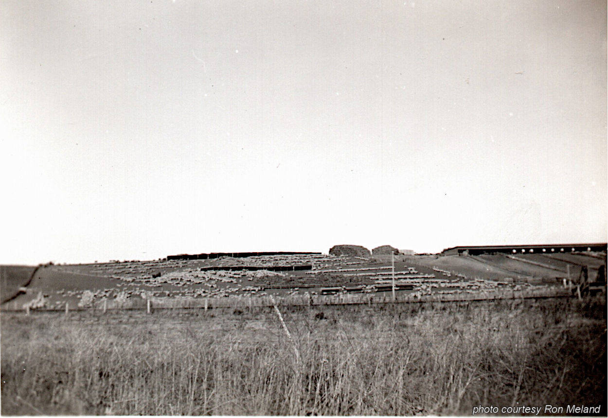 Photo from Clarence Meland - Badlands Photo from Clarence Meland - Badlands