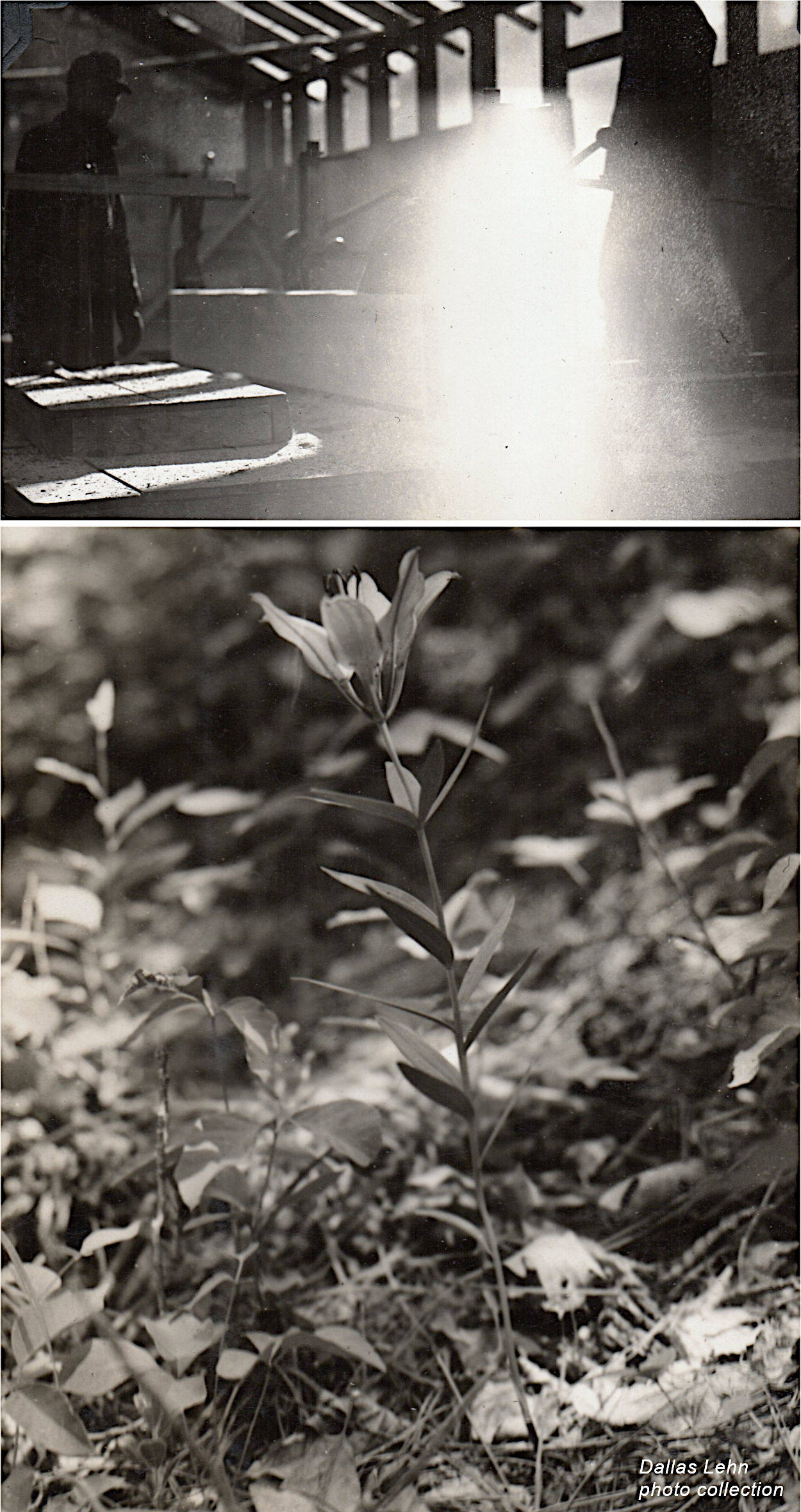Photo from Dallas Lehn Collection Photo from Dallas Lehn Collection