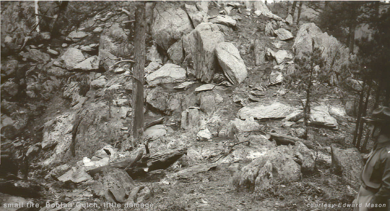 Bobcat Gulch small fire