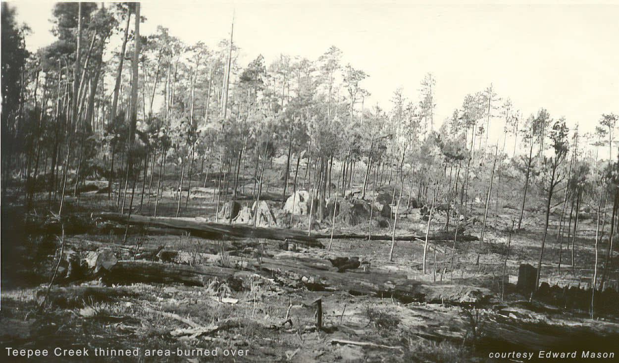 Teepee Creek burned over
