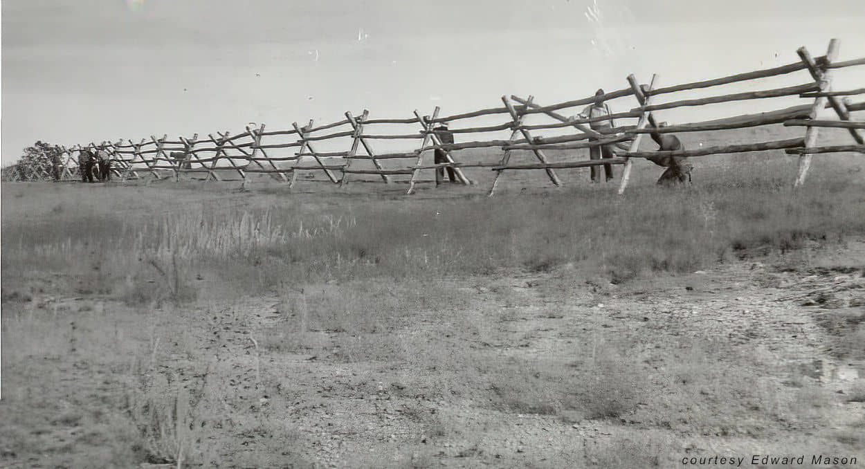 CCC men building a fence