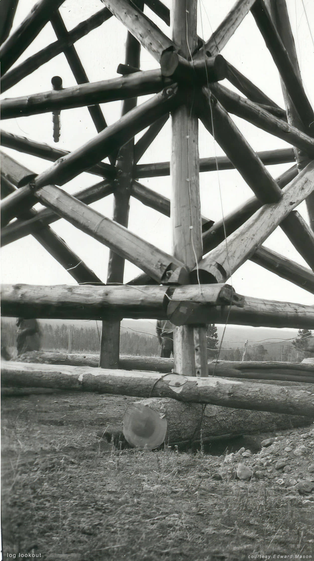 closer look at log lookout