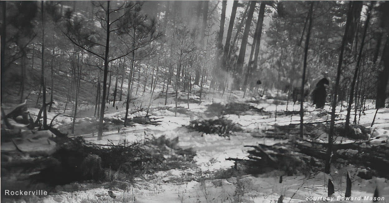 burning brush
