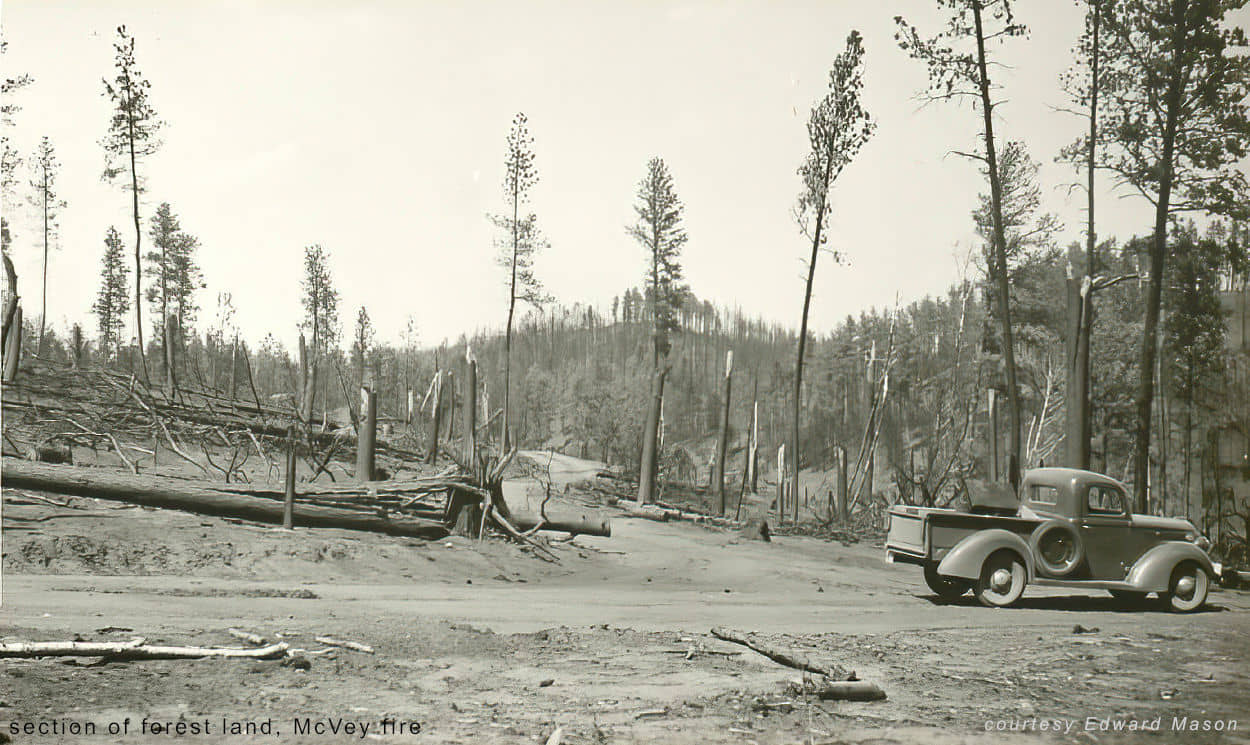 section of land McVey fire area