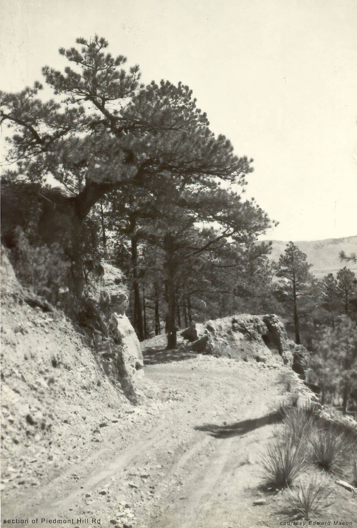 Piedmont Hill Road