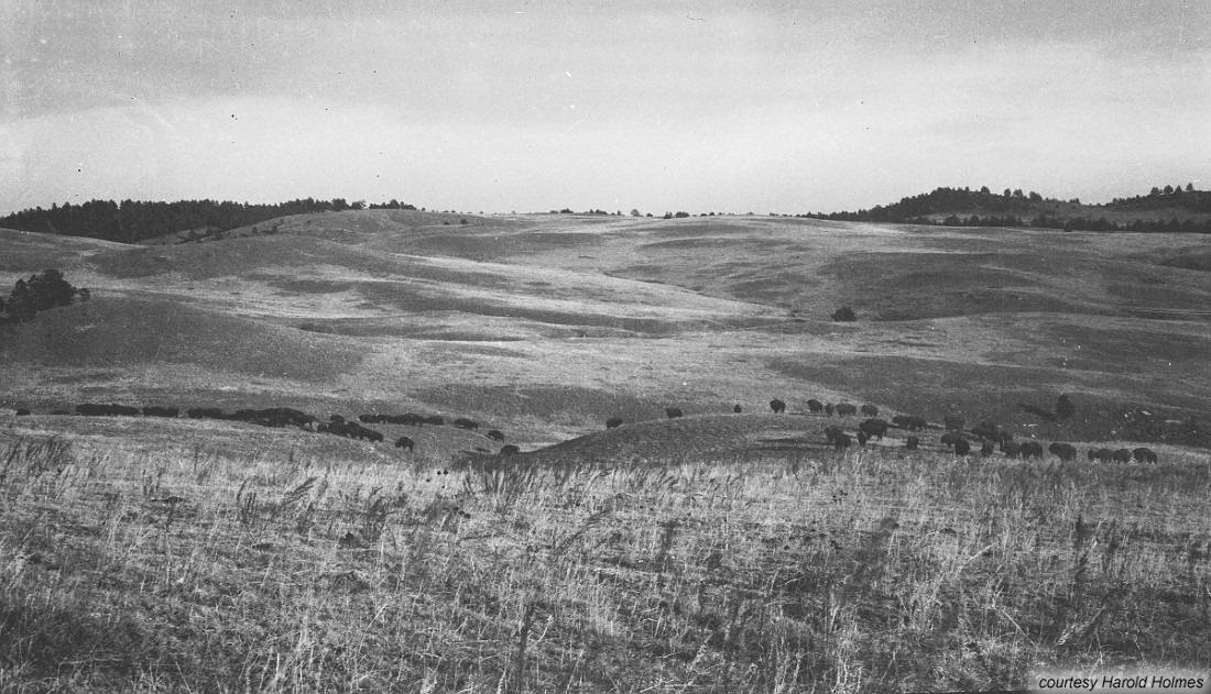 Photo from Harold Holmes - Wind Cave Photo from Harold Holmes - Wind Cave