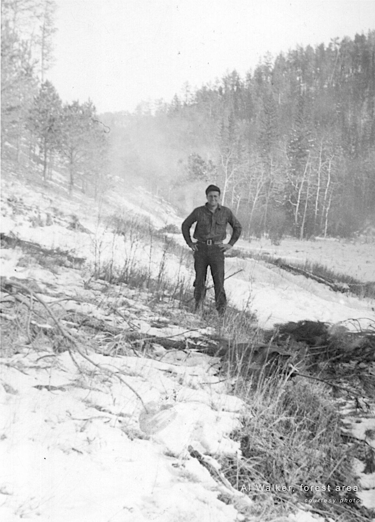 Al Walker - forest area Al Walker - forest area