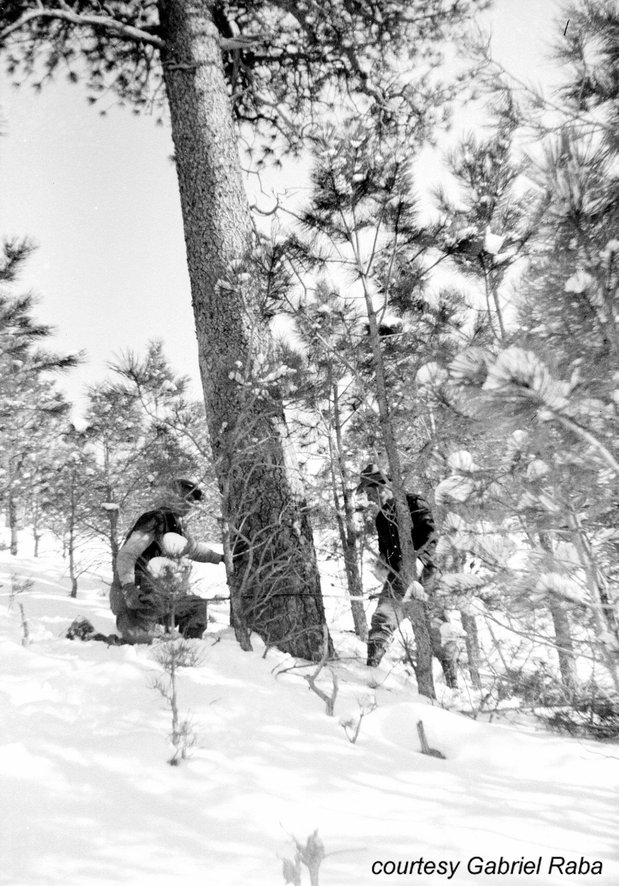 Gabe Raba Photo Collection Gabe Raba Photo Collection