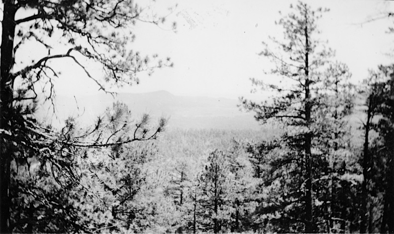 From Ben Petranek CCC Photo Collection