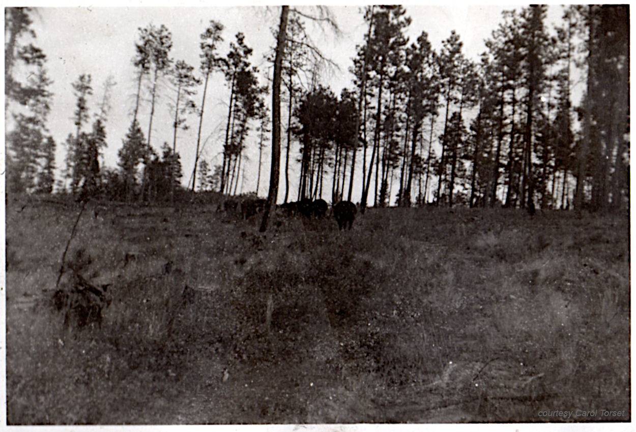 Photo from Vern George Dashel - Camp Este Photo from Vern George Dashel - Camp Este