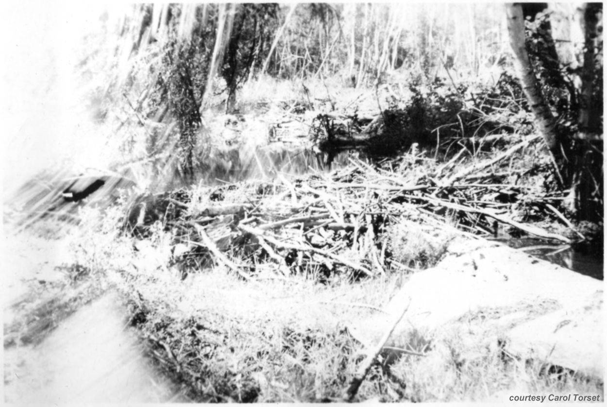 Photo from Vern George Dashel - Camp Este - courtesy Carol Torset