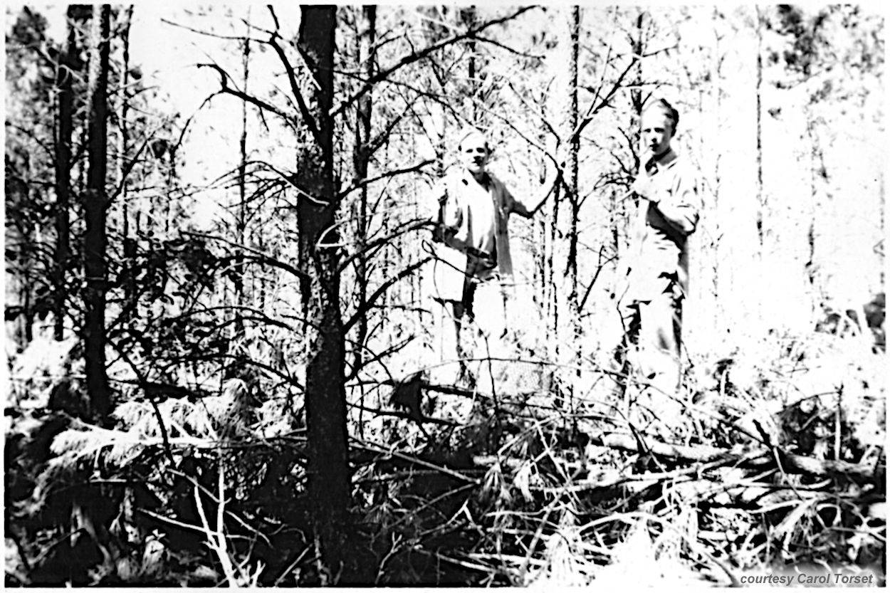 Photo from Vern George Dashel - Camp Este - courtesy Carol Torset