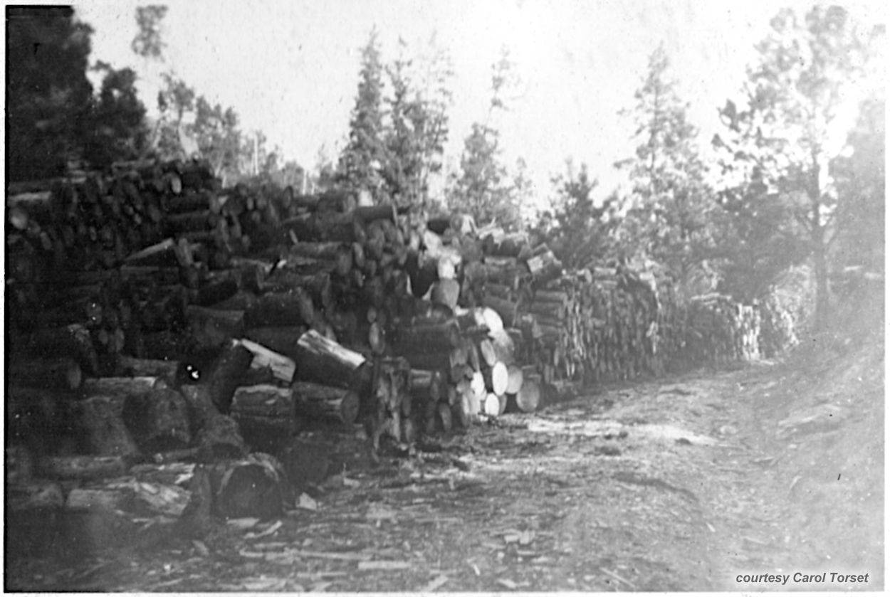 Photo from Vern George Dashel - Camp Este - courtesy Carol Torset