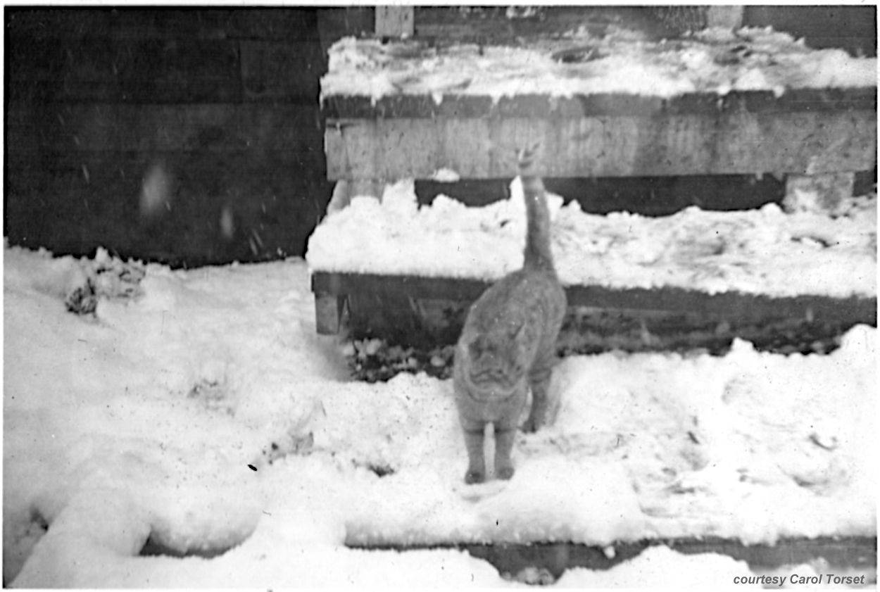 Photo from Vern George Dashel - Camp Este - courtesy Carol Torset