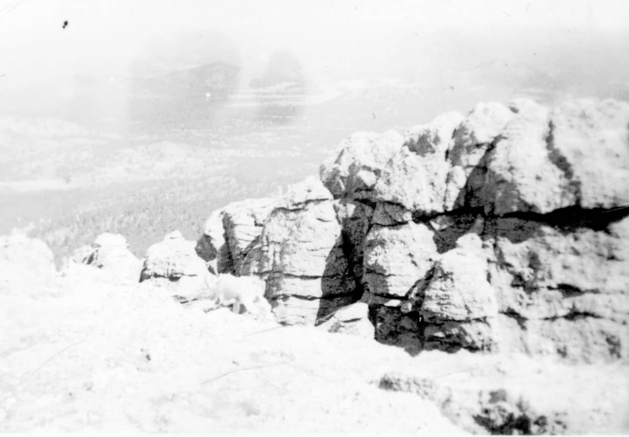 view near Harney Peak
