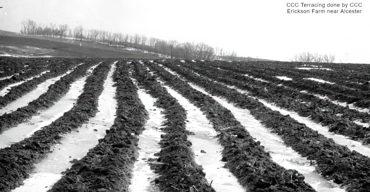 Erickson Farm CCC terracing