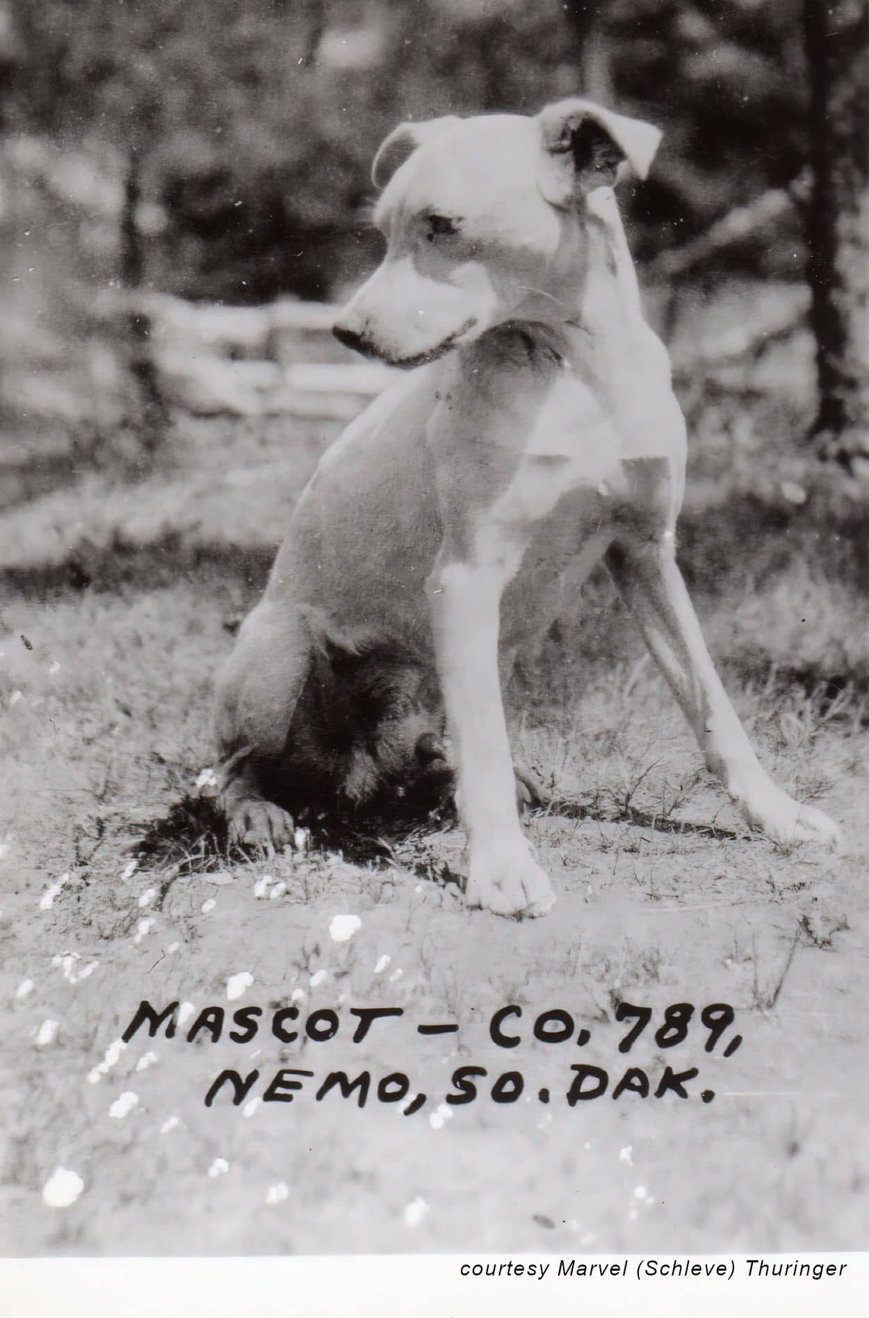 Company 789 Mascot