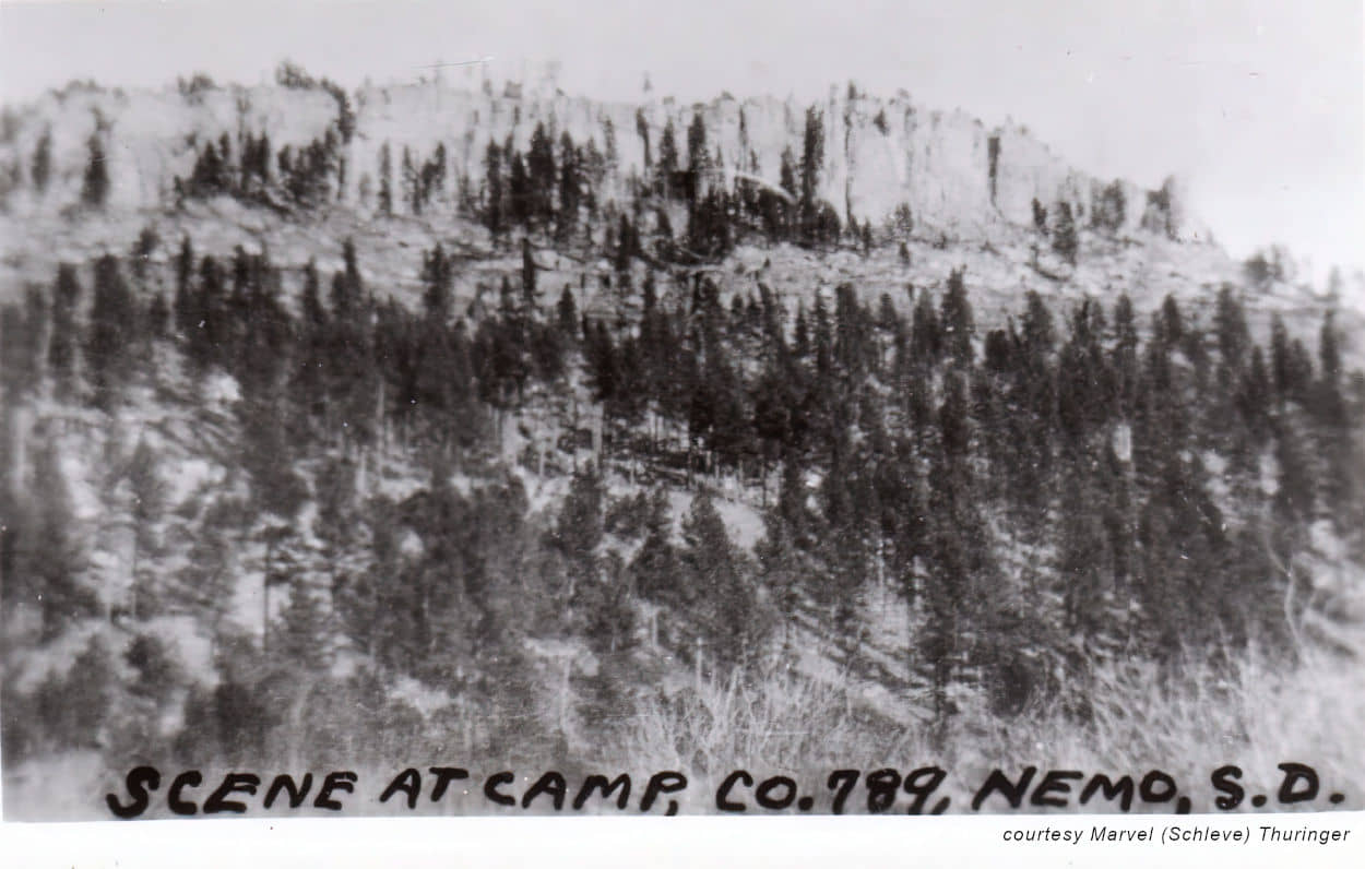 Scene at CCC Camp Nemo