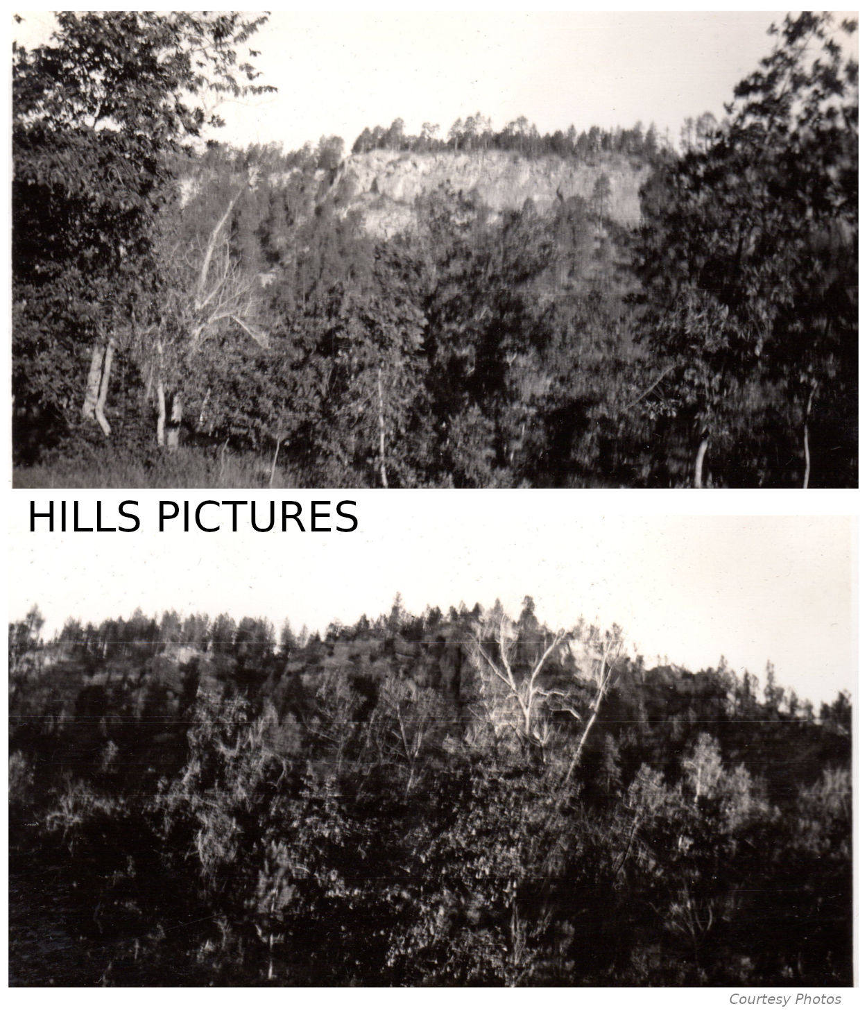 Alberts DeVries Photo Album Alberts DeVries Photo Album