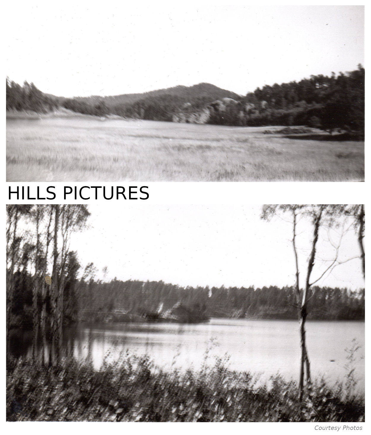 Alberts DeVries Photo Album Alberts DeVries Photo Album