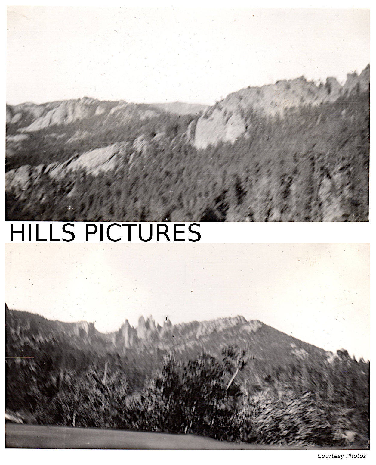 Alberts DeVries Photo Album Alberts DeVries Photo Album