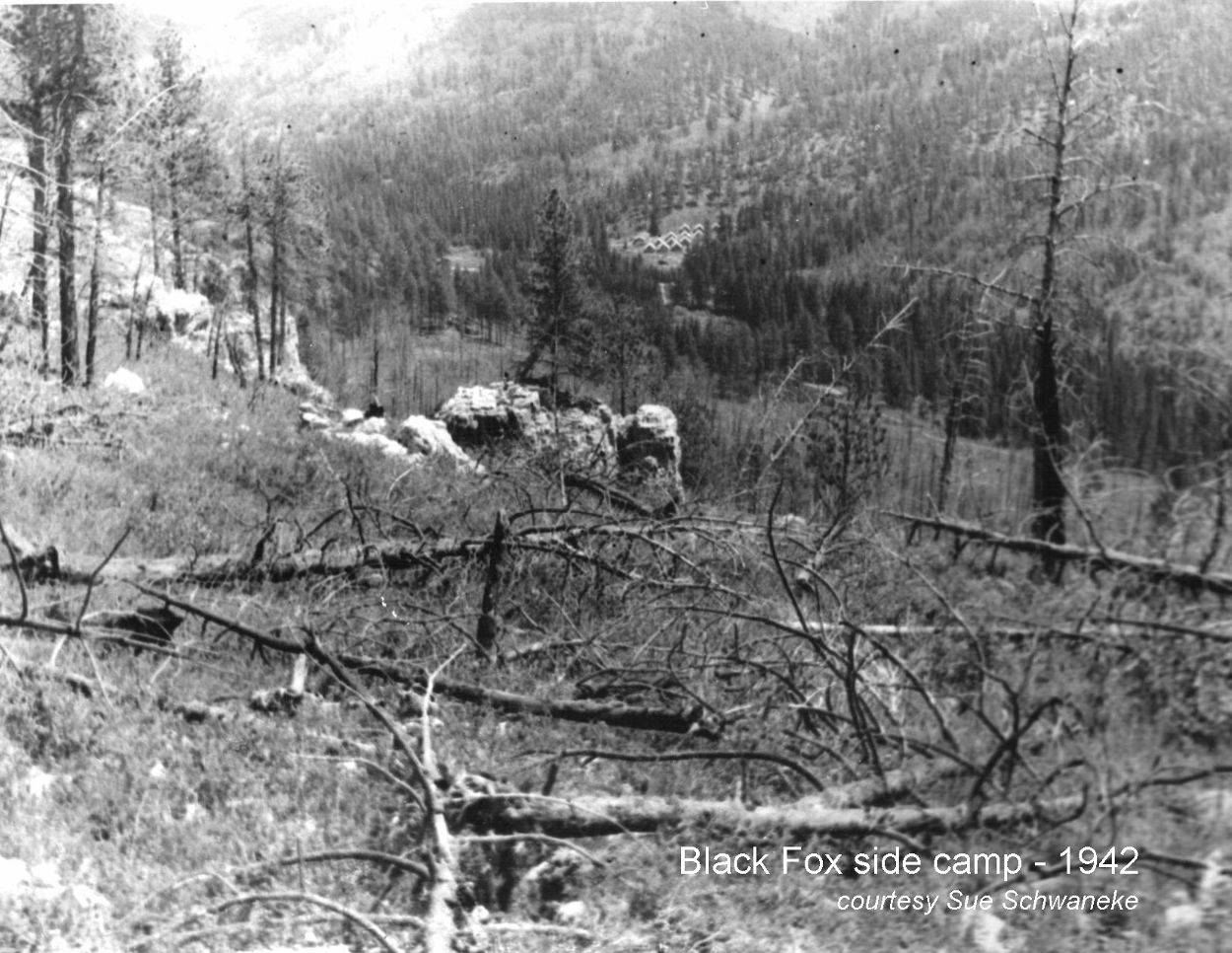 Black Fox Tent Camp Black Fox Tent Camp