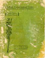 SDDH-1934